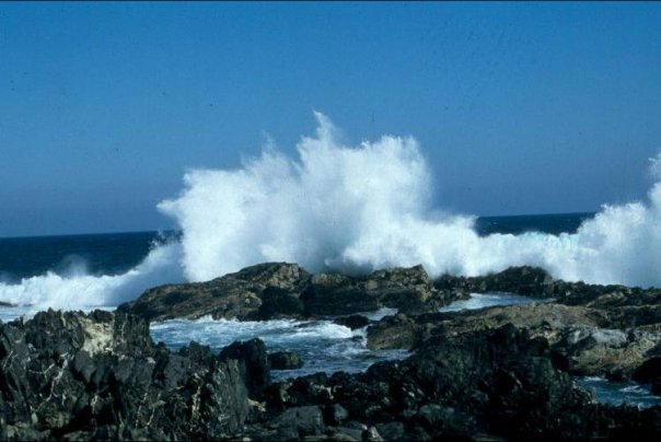 FUKUSHIMA: Y ese mar que tranquilos contaminan