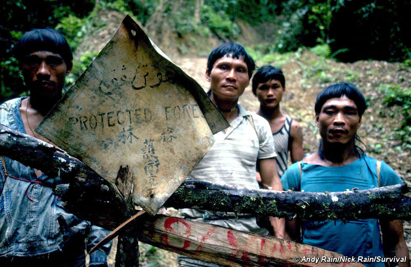 En Malasia peligra comunidad indígena
